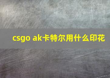 csgo ak卡特尔用什么印花